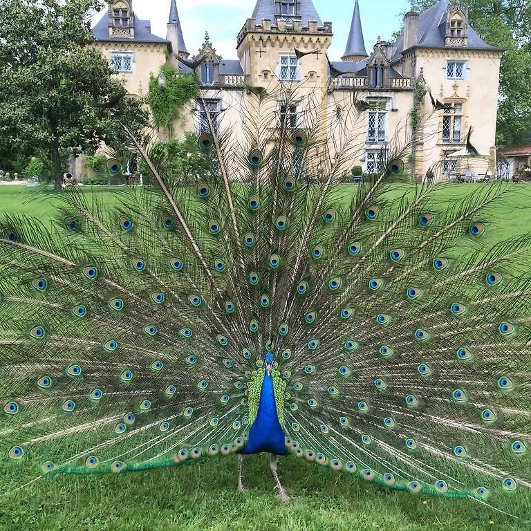 Séjour à la campagne Hôtel Chateau Du Haget à Vieuzos France