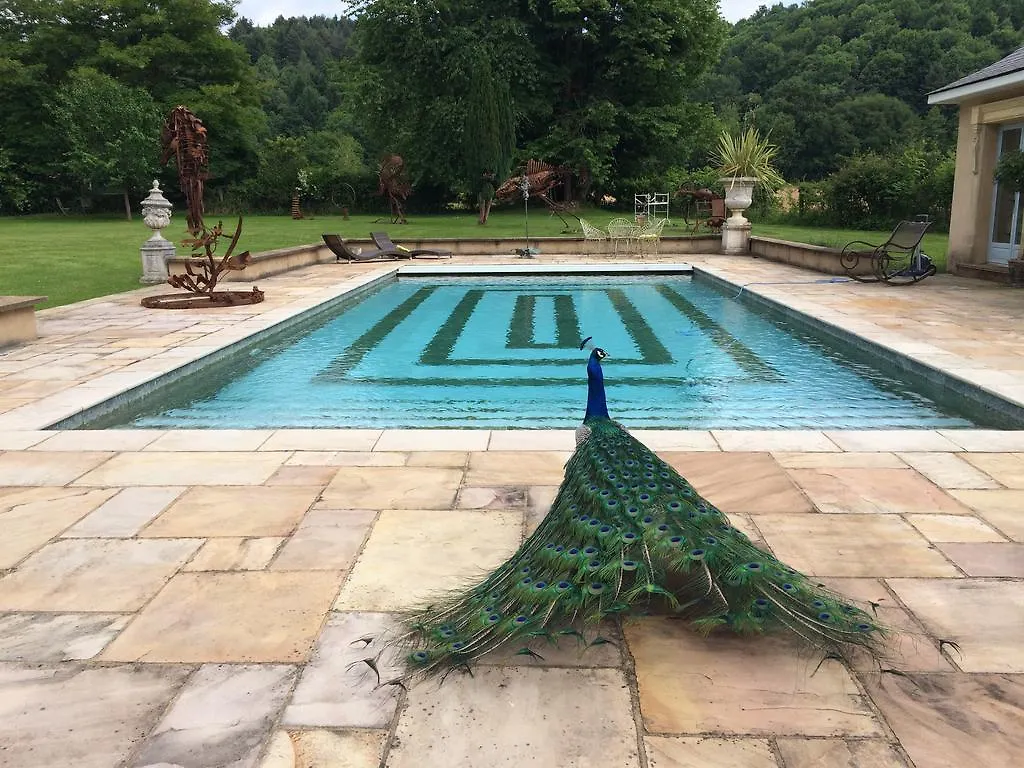 Country house Chateau Du Haget Hotel Vieuzos